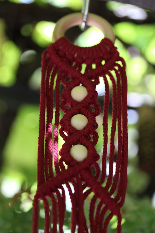 Gruccia "Eschinanto"