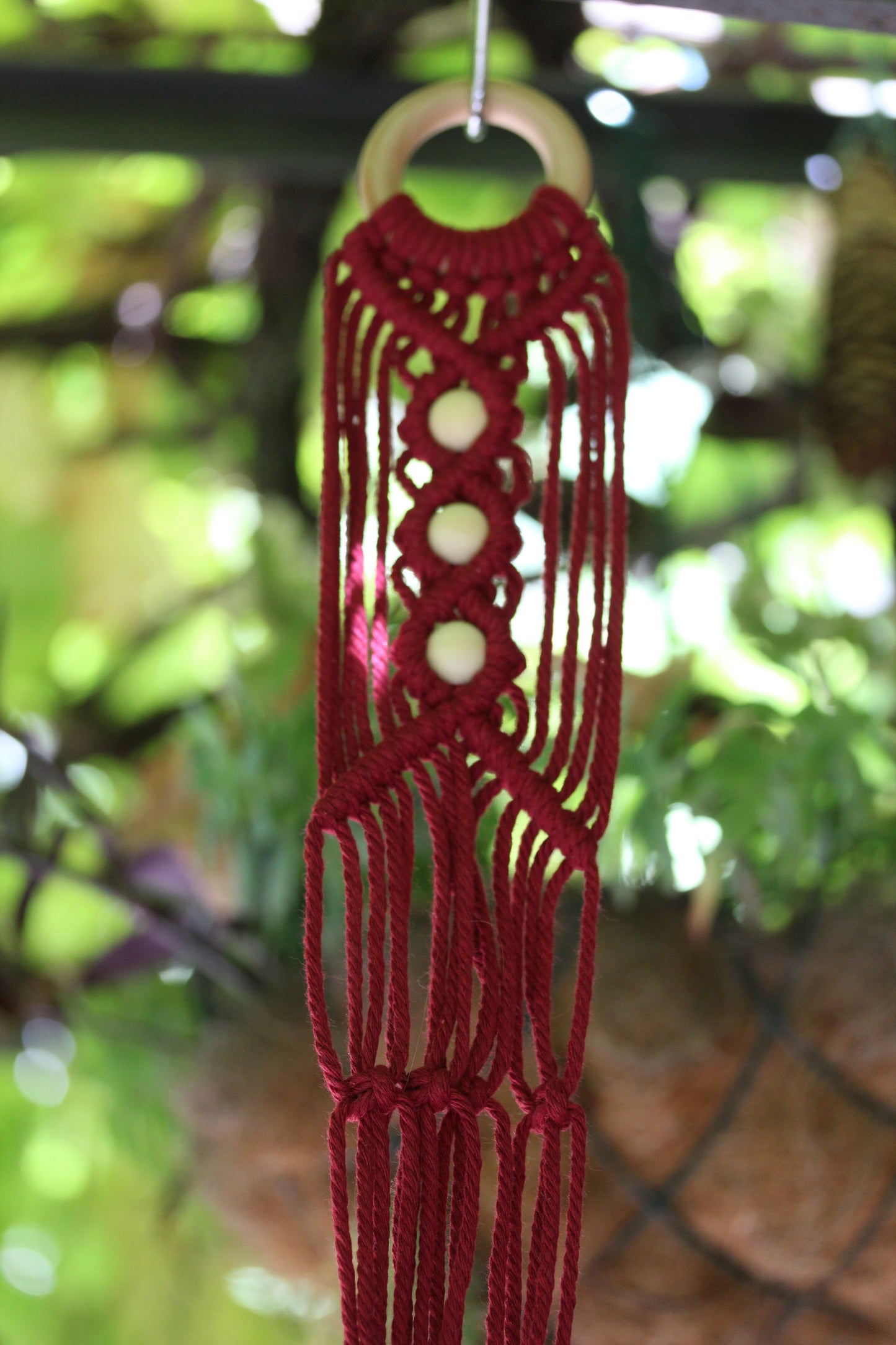 Gruccia "Eschinanto"